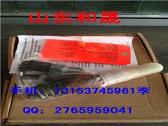 重庆江北区服务站ISM11喷油器4026222-康明斯喷油器