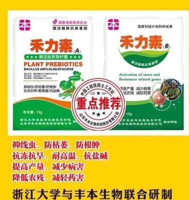 山东丰本禾力素液体微生物菌剂+降解药残的叶面肥菌