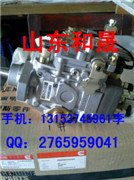 康明斯燃油泵4951544-重庆九龙坡区直销燃油泵