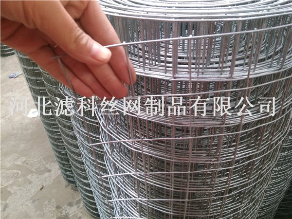 Come On浙江厂家滤科特供价格实惠的水貂笼电
