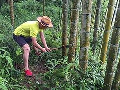 划算的竹筒酒供应，就在醉竹贸易 澳门竹筒酒