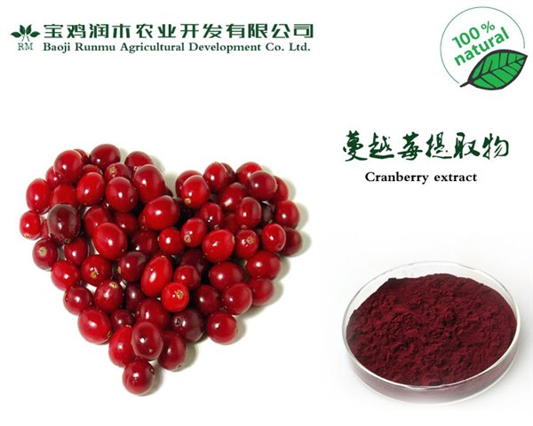 厂家供应蔓越莓提取物PAC25%