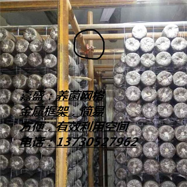 黑木耳养菌网格