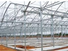 福建口碑好的蔬菜大棚搭建——蔬菜温室制造商