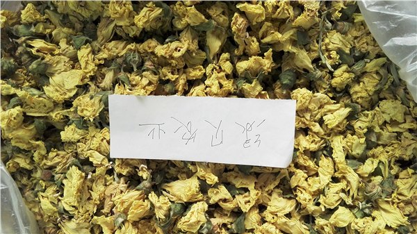 供应黄秋葵花茶