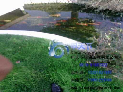 苏州市观赏鱼池水处理公司。常年清澈，德国技术！