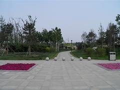 （山东绿化工程）（山东绿化工程公司）（太行）