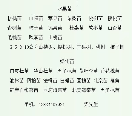 3公分白蜡 白蜡树苗 山西白蜡苗 白蜡苗价格 白蜡苗
