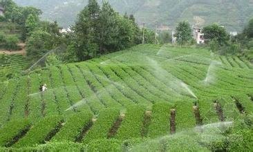 山东节水灌溉价格/云南节水灌溉生产厂家