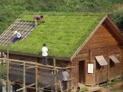 福建屋顶绿化 御景园可信赖的屋顶绿化推荐