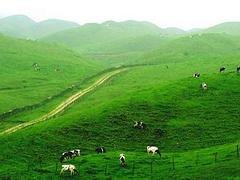 农村生态治理|青岛受欢迎的生态治理公司，当属太行