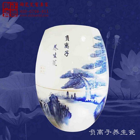 供应厂家直销汗蒸排毒负离子养生缸 巴马磁蒸缸