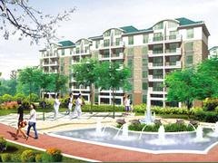 山东景观工程_山东可靠的景观工程建设