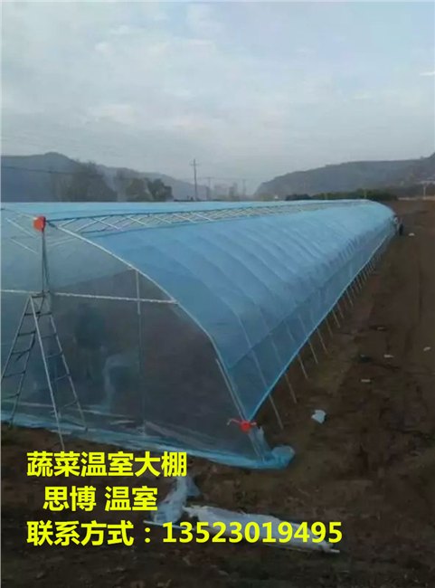 河南林州哪里有做温室大棚的