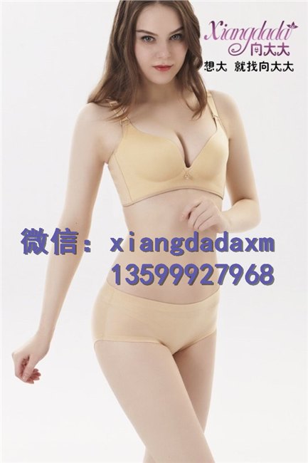 华博基尼聚拢内衣价格