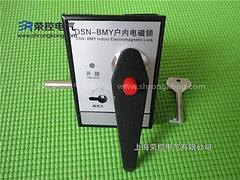 DSN-AMY代理，上海荣控提供优质户内电磁锁，