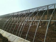 高标准大棚建设 山东花卉温室大棚建设哪家好