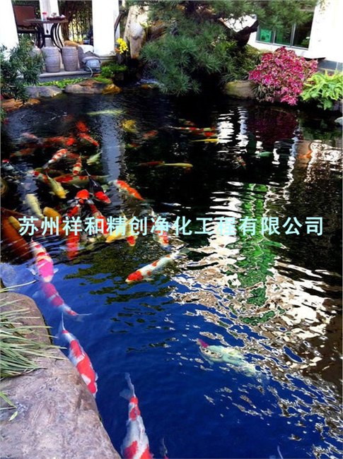 南京市室外鱼池水处理公司，为你处理好每一滴水。