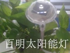 能草坪灯厂家：畅销能草坪灯[厂家直销]