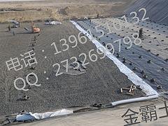 金霸环境技术公司专业供应糙面土工膜——广东土工膜