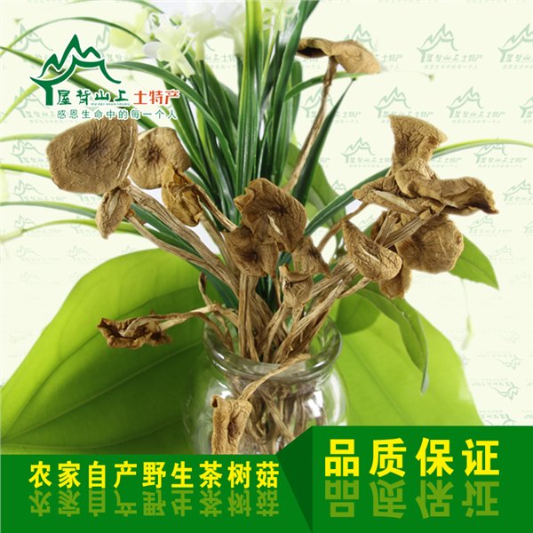 中国家畜标本，福州森艺生态，福州专业家畜标本企业
