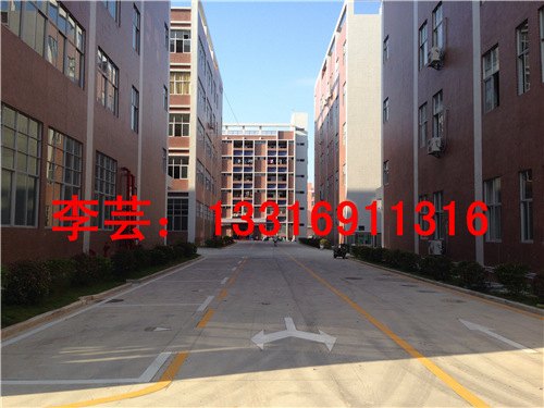 惠州公路划字哪家做的好?大埔公路划字