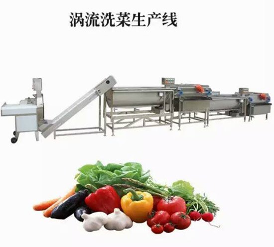 专业净菜生产线生产厂家 果蔬净菜生产线企业