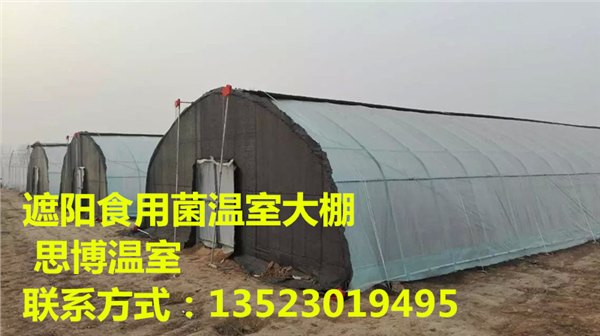 新型遮阳食用菌大棚建设造价