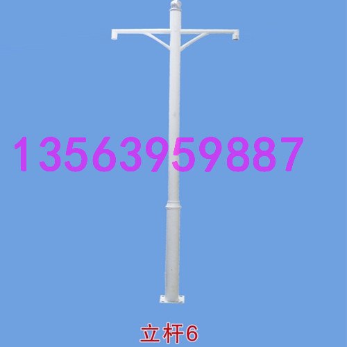 江苏监控立杆公司/临沂弘宝电子