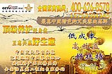 艾灸加盟，艾灸养生馆加盟哪家好，经络艾灸加盟哪个