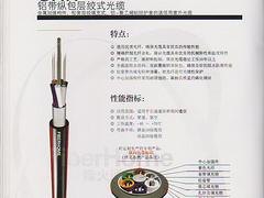 安康GYTA-8B1|大量供应高性价烽火室外通信