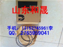 2016年康明斯代理商直销K19活塞环-4089500
