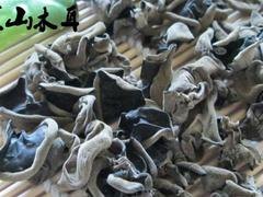 热卖黑山木耳|什么地方有供应物超所值的黑山木耳
