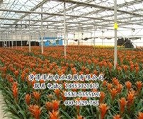 供应温室大棚水槽价格 温室大棚水槽供货商