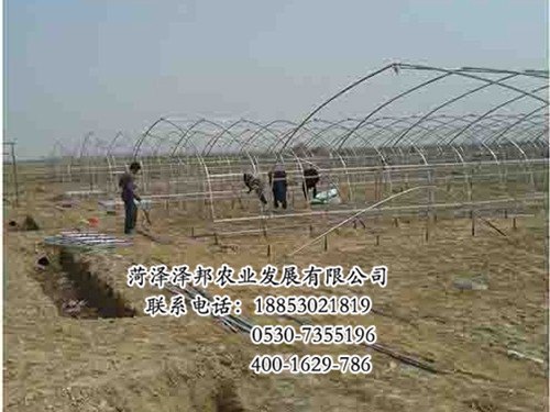 大量出售温室大棚骨架 泽邦农业发展有限公司