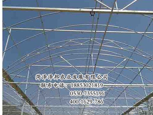 2016温室大棚厂家 温室大棚价格 