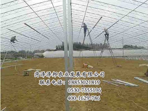 山东温室大棚骨架生产商 温室大棚骨架价格 