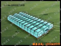 薄膜温室代理_高质量的现代化薄膜大棚推荐