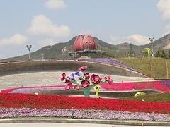 想要值得信赖园林绿化工程就找太行园林建设 山东园