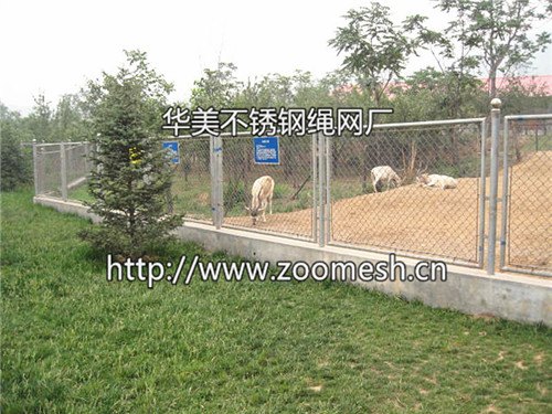 长颈鹿防护围网-麋鹿不锈钢围网-鹿场馆围栏网