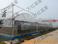 聊城连栋温室大棚工程|山东超值的连栋温室工程
