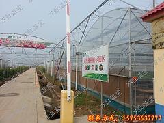 价格合理的温室进口薄膜 热卖温室大棚覆盖材料市场