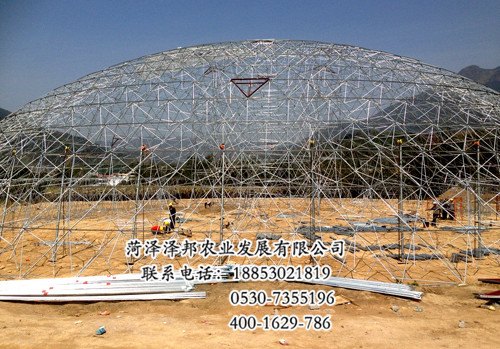 大量供应鸟巢温室厂家 泽邦农业发展有限公司