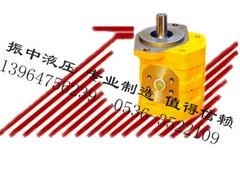直销双联齿轮油泵 质量好的高压齿轮油泵就在振中液