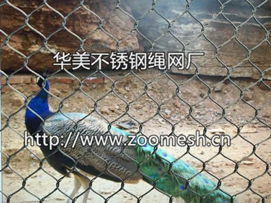 孔雀围网、孔雀笼舍周边围网、孔雀园观赏防护网