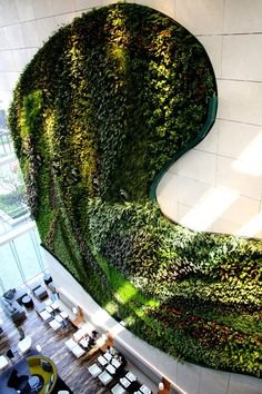 立体植物墙设计-北京植物墙设计公司首选