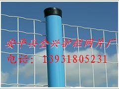 具有口碑的荷兰网上哪买    |铁丝网规格型号报