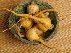 昆明口碑好的玛咖厂商：大理玛咖