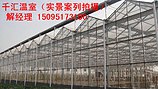 山东高质量的温室大棚