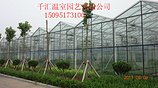 ||玻璃温室大棚||玻璃温室大棚价格||玻璃温室